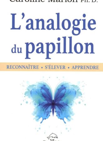 L'analogie du papillon