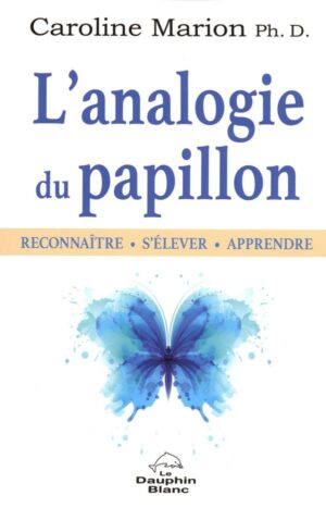 L'analogie du papillon