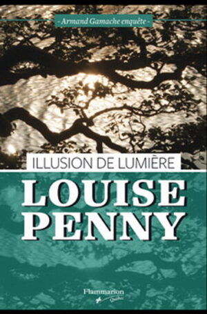 Illusion de lumière