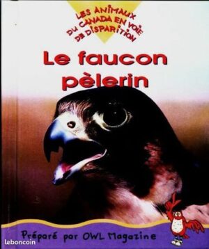 Les animaux du Canada en voie de disparition : le faucon pèlerin